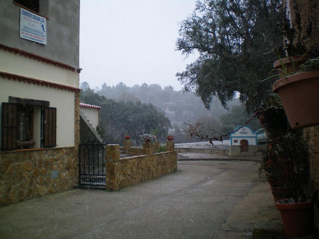 Casa Rural Sierra San Mamede La Codosera Εξωτερικό φωτογραφία