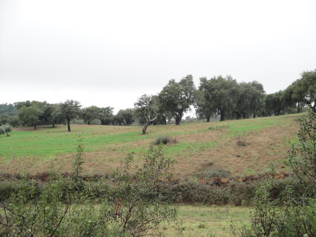 Casa Rural Sierra San Mamede La Codosera Εξωτερικό φωτογραφία