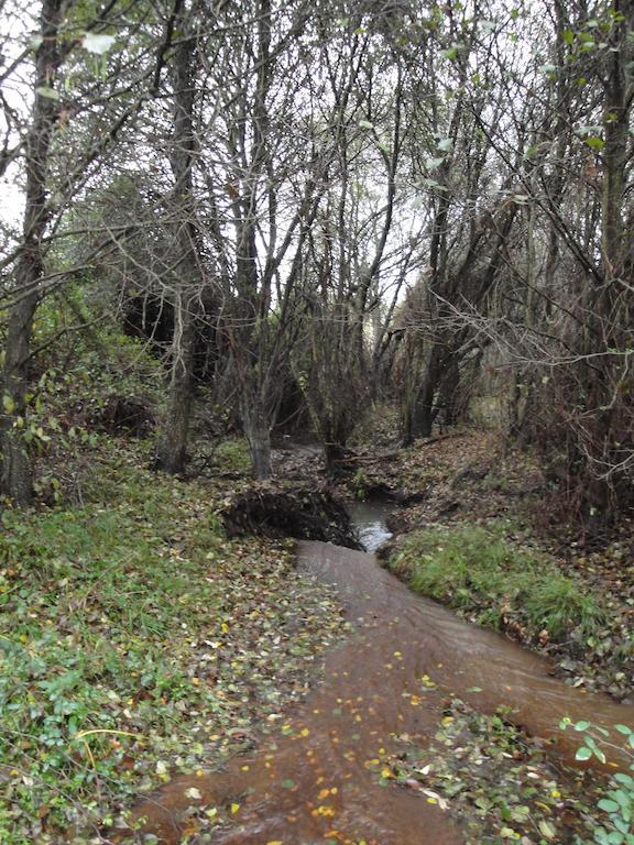 Casa Rural Sierra San Mamede La Codosera Εξωτερικό φωτογραφία