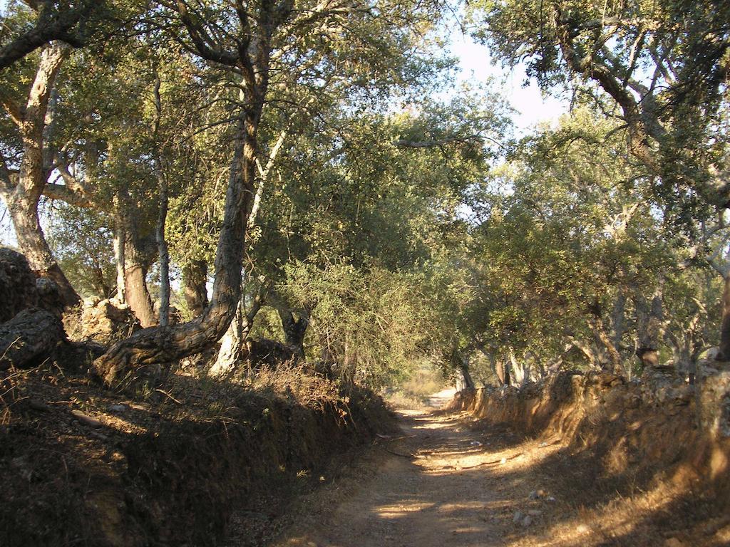 Casa Rural Sierra San Mamede La Codosera Εξωτερικό φωτογραφία
