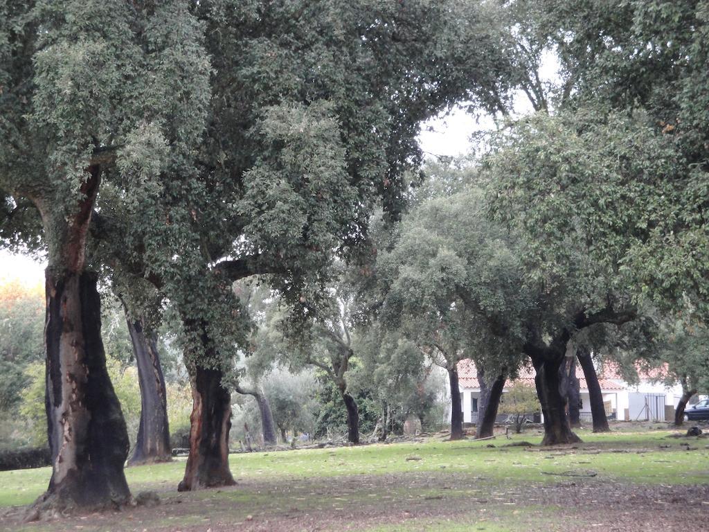 Casa Rural Sierra San Mamede La Codosera Εξωτερικό φωτογραφία